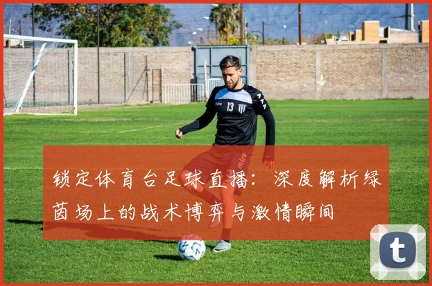 锁定体育台足球直播:深度解析绿茵场上的战术博弈与激情瞬间